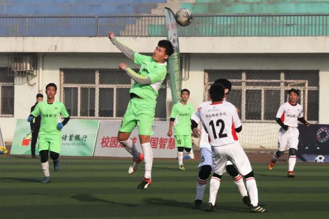 爱尔兰欧国联新篇章：4场比赛的挑战与机遇